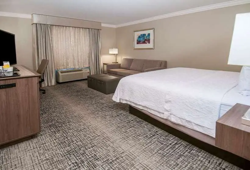 キングサイズベッドのスタンダードルーム, Hampton Inn Riverside Downtown