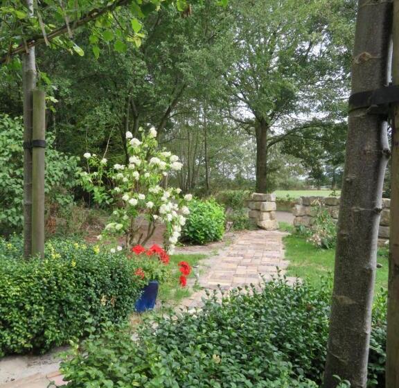 חדר דלוקס, B&b Singelstate