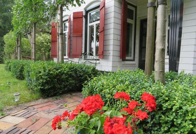 חדר דלוקס, B&b Singelstate