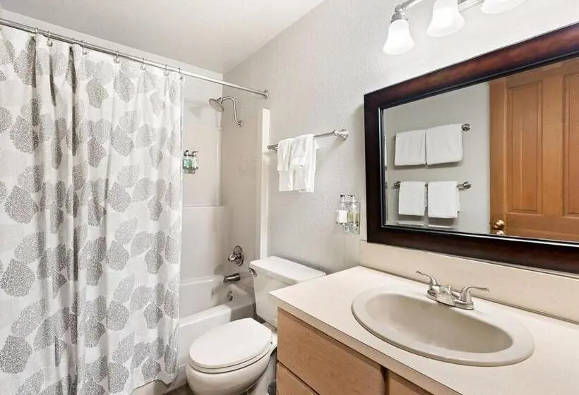 １ベッドルームアパートメント, Loge Alta Crystal Resort At Mt Rainier