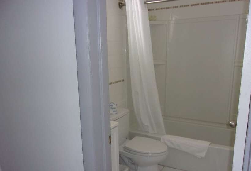 스탠다드 룸, Capri Motel