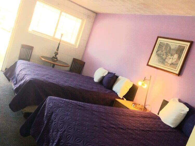 스탠다드 룸, Capri Motel