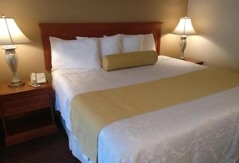 带大床的标准间, Burbank Inn And Suites