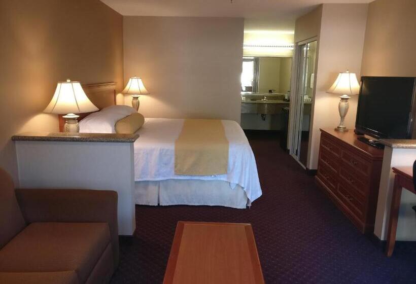 스탠다드 룸 킹사이즈 침대, Burbank Inn And Suites