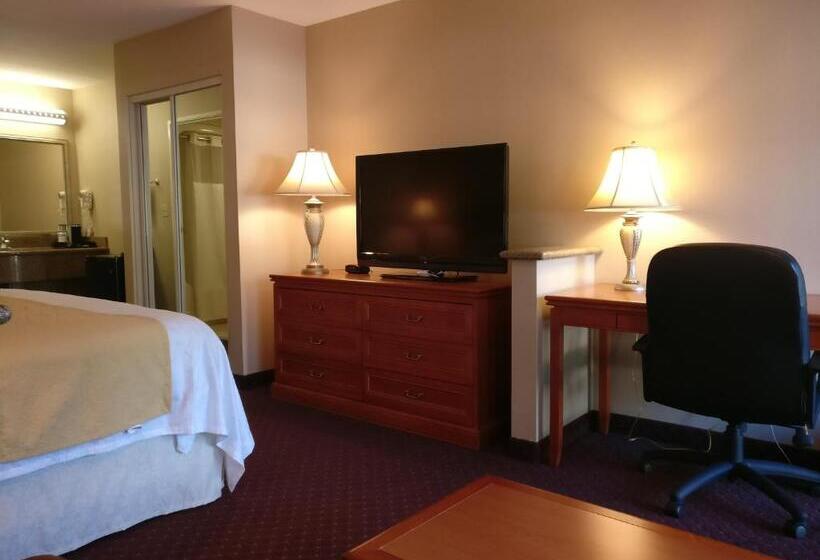 キングサイズベッドのスタンダードルーム, Burbank Inn And Suites