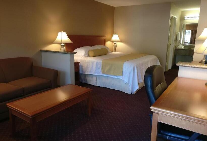 带大床的标准间, Burbank Inn And Suites