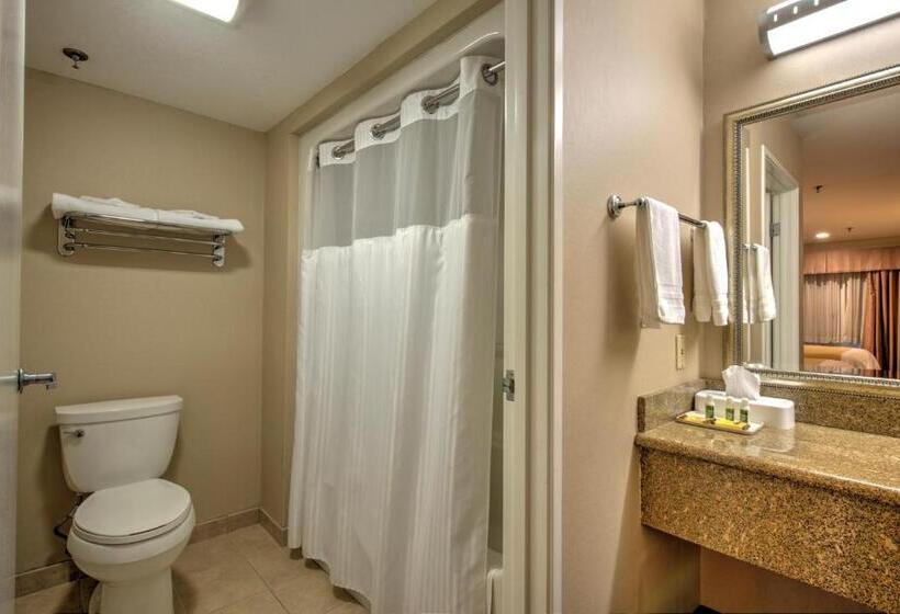 标准间, Burbank Inn And Suites