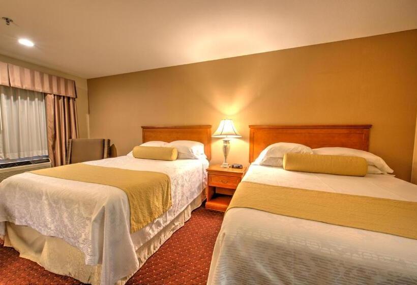 标准间, Burbank Inn And Suites