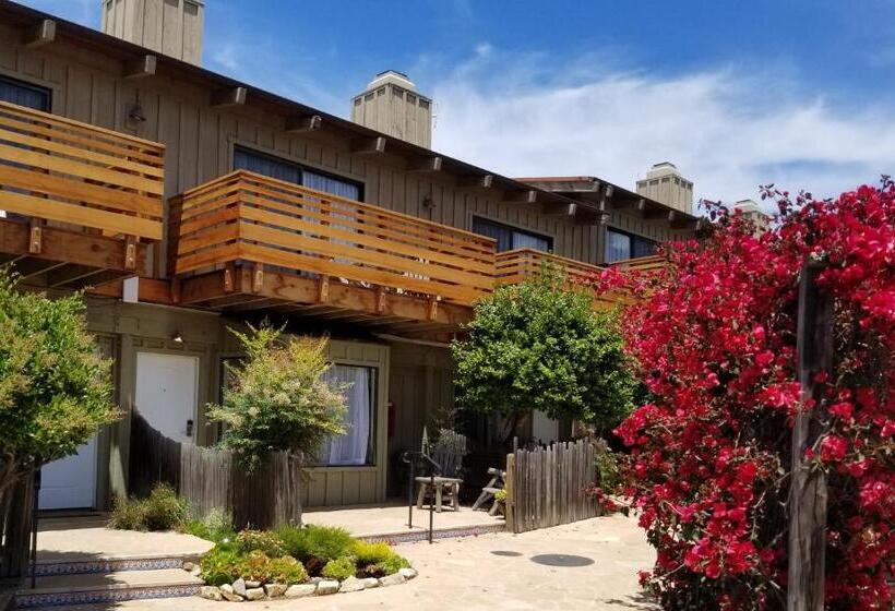 스탠다드 룸 킹사이즈 침대, Carmel Valley Lodge
