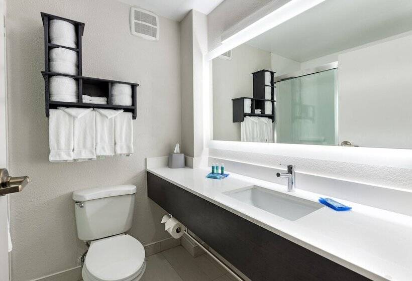 ２ダブルベッドのスタンダードルーム, Holiday Inn Express   Columbus Downtown, An Ihg