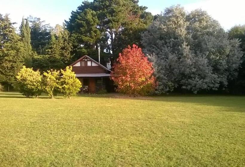 خانه 1 خوابه, La Fontana De Tandil
