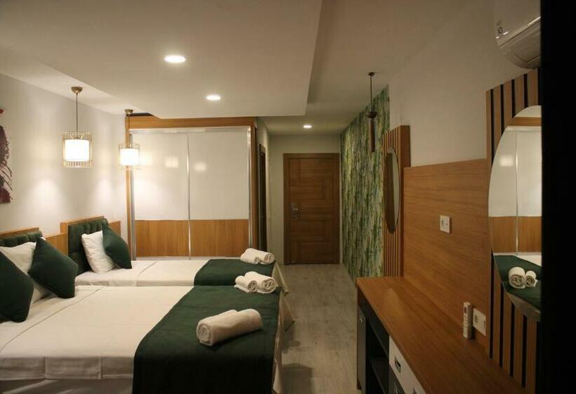 标准三人间, Mogons Exclusive