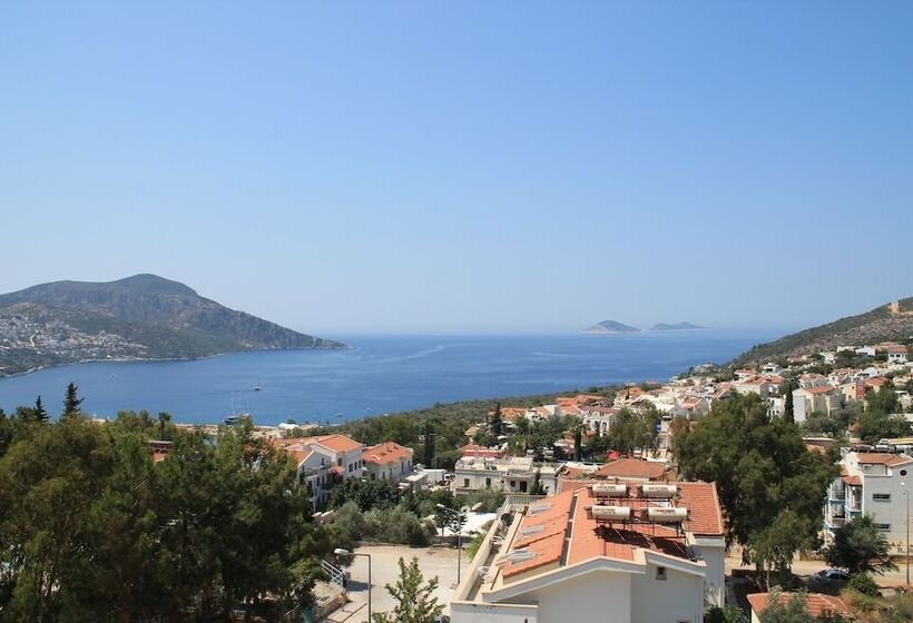 带海景的标准房, Mogons Exclusive