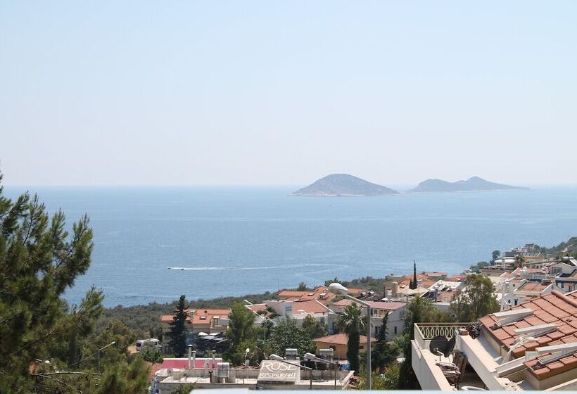 带海景的标准房, Mogons Exclusive