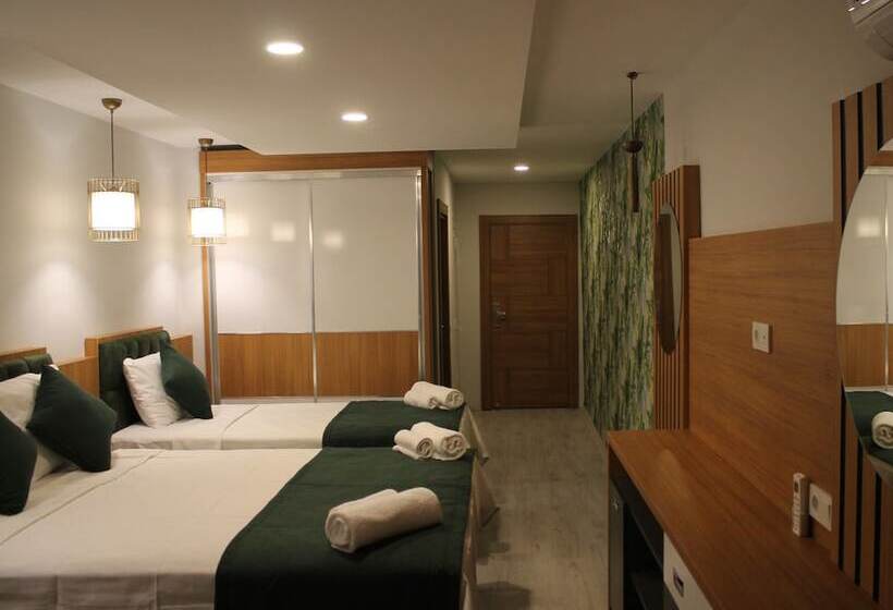 标准三人间, Mogons Exclusive