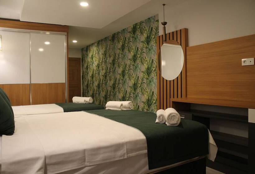 标准三人间, Mogons Exclusive