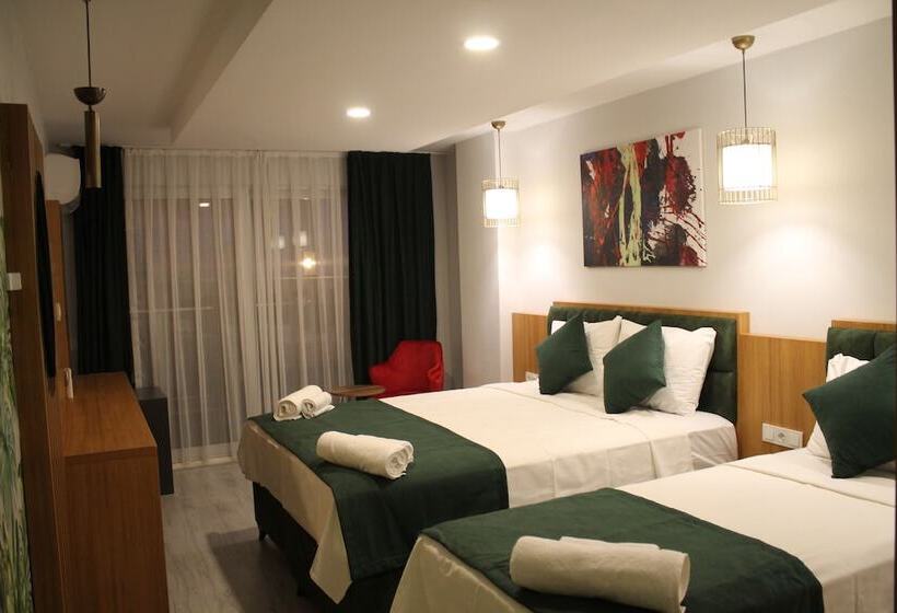 标准三人间, Mogons Exclusive