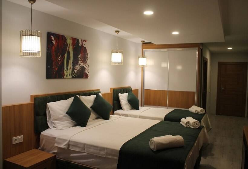 标准三人间, Mogons Exclusive