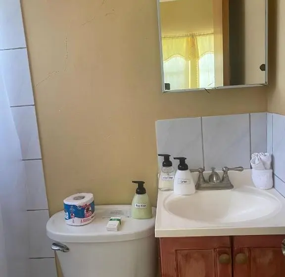 اتاق لوکس, Beverley's Guest House, Nevis