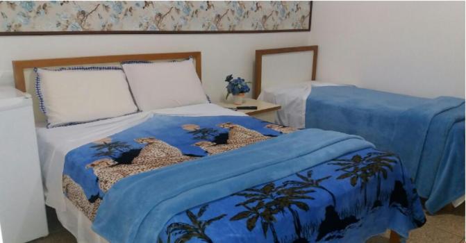 اتاق استاندارد چهار تخته, Avenida