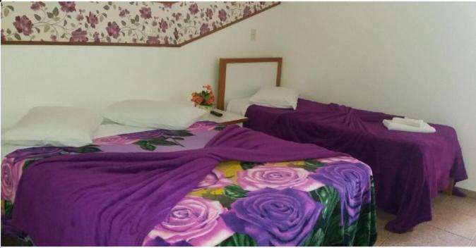 اتاق استاندارد یک نفره, Avenida