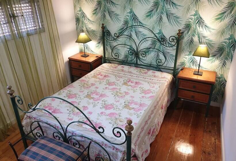 اتاق اکونومی, Solar Transmontano