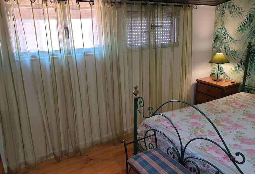 اتاق اکونومی, Solar Transmontano