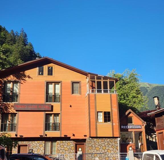 חדר דלוקס עם מיטת קינג, Trend Suite