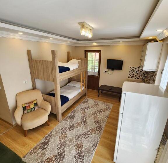 סוויטה עם מרפסת, Trend Suite