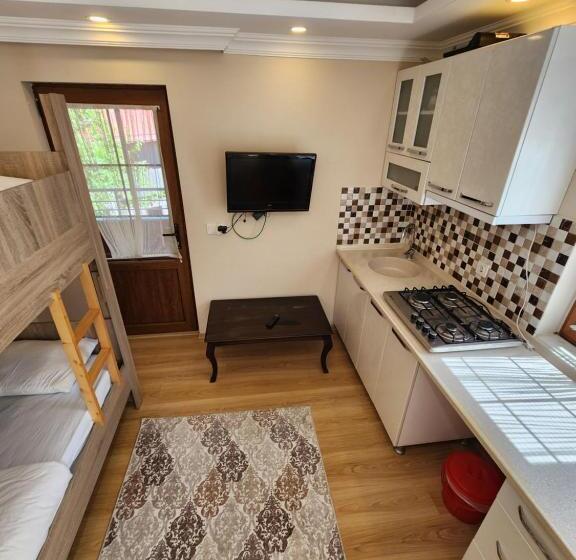 סוויטה עם מרפסת, Trend Suite