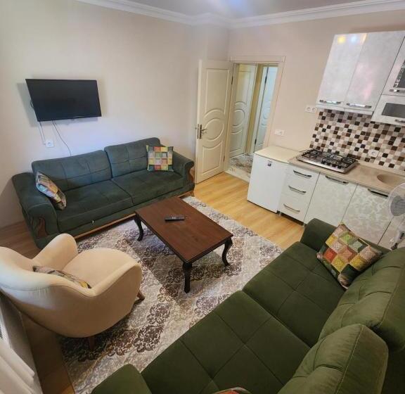 דירת חדר דלוקס, Trend Suite