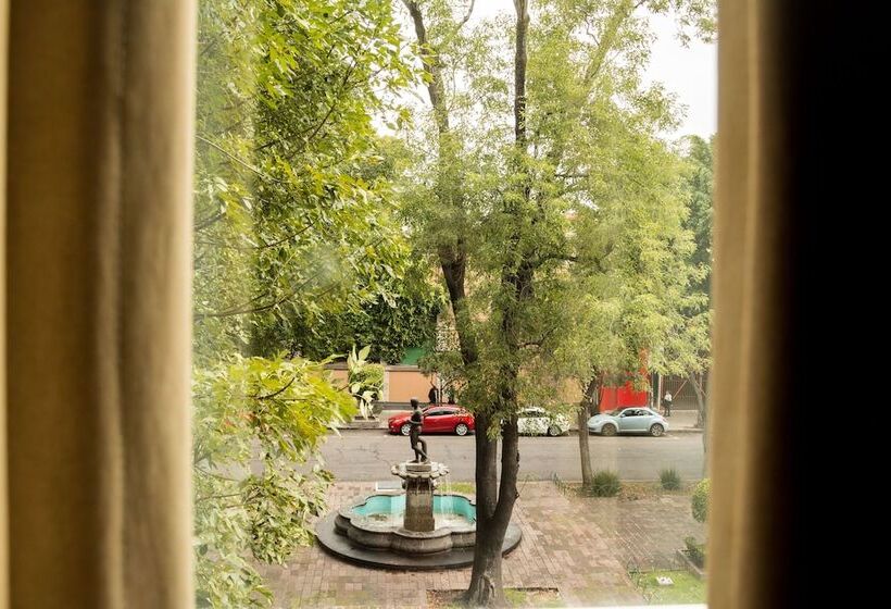 Номер Стандарт, Milan Cdmx