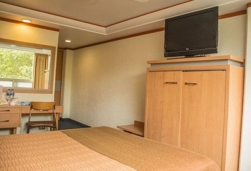 Номер Стандарт, Milan Cdmx