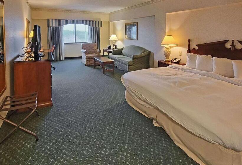 חדר סטנדרט עם מיטת קינג, Radisson Hotel Cedar Rapids