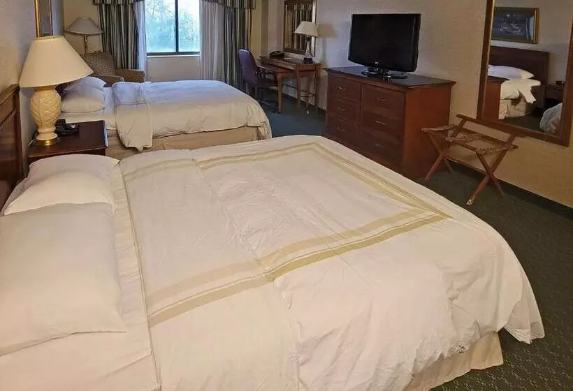 اتاق استاندارد با 2 تخت دوبل, Radisson Hotel Cedar Rapids