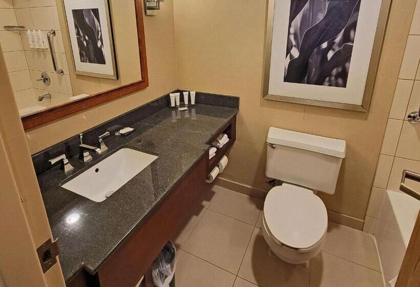 סוויטה, Radisson Hotel Cedar Rapids