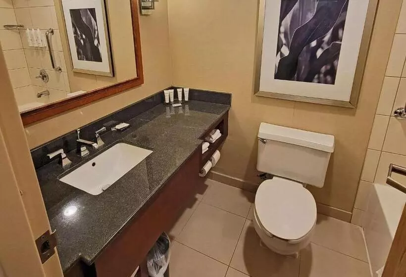 اتاق استاندارد با تخت بزرگ برای معلولان, Radisson Hotel Cedar Rapids