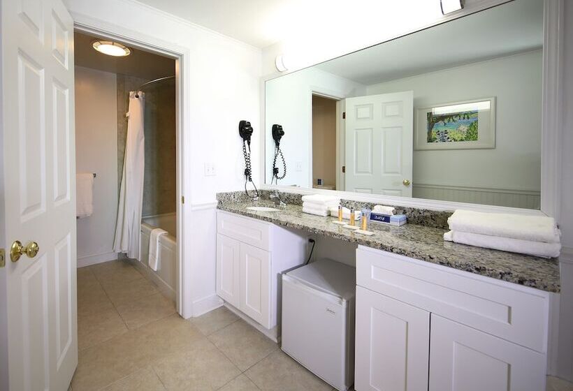 غرفة أساسية, Colonial Inn Harbor Springs