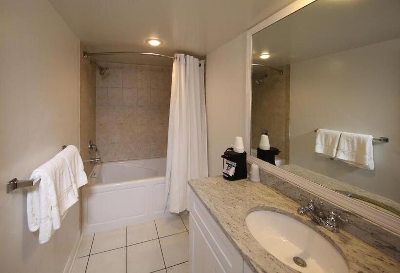 جناح غرفتين نوم, Colonial Inn Harbor Springs