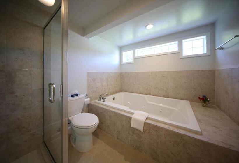 جناح بريميوم, Colonial Inn Harbor Springs