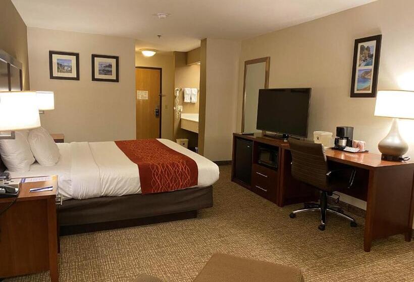 חדר סטנדרט עם מיטת קינג, Comfort Inn Marina On The Monterey Bay