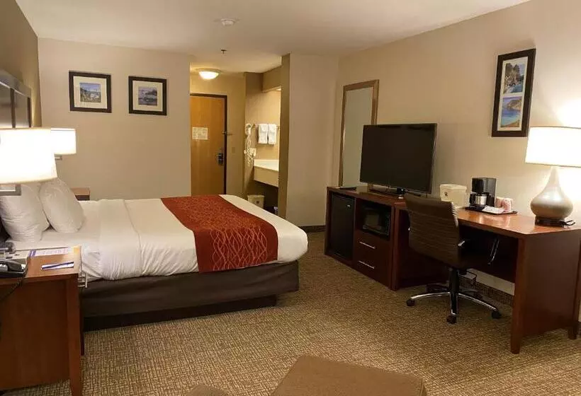 اتاق استاندارد با تخت بزرگ, Comfort Inn Marina On The Monterey Bay