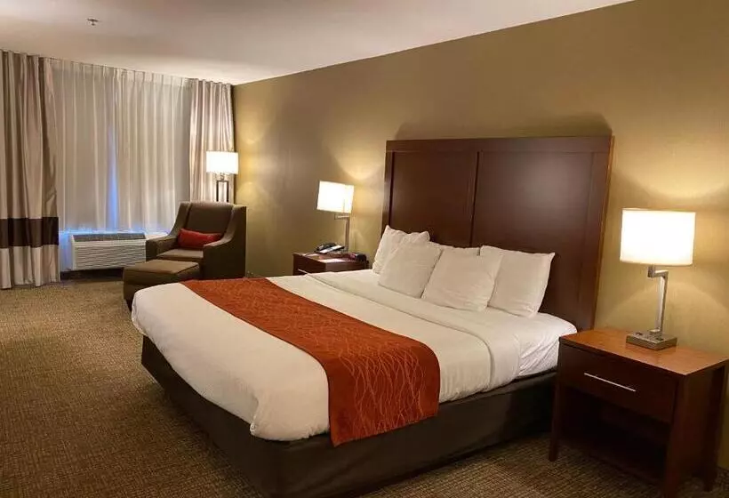 اتاق استاندارد با تخت بزرگ, Comfort Inn Marina On The Monterey Bay