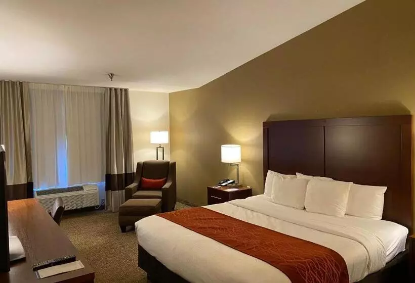 اتاق استاندارد با تخت بزرگ برای معلولان, Comfort Inn Marina On The Monterey Bay