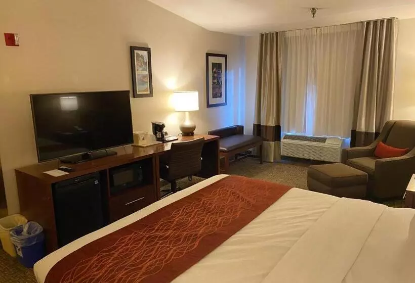 اتاق استاندارد با تخت بزرگ برای معلولان, Comfort Inn Marina On The Monterey Bay