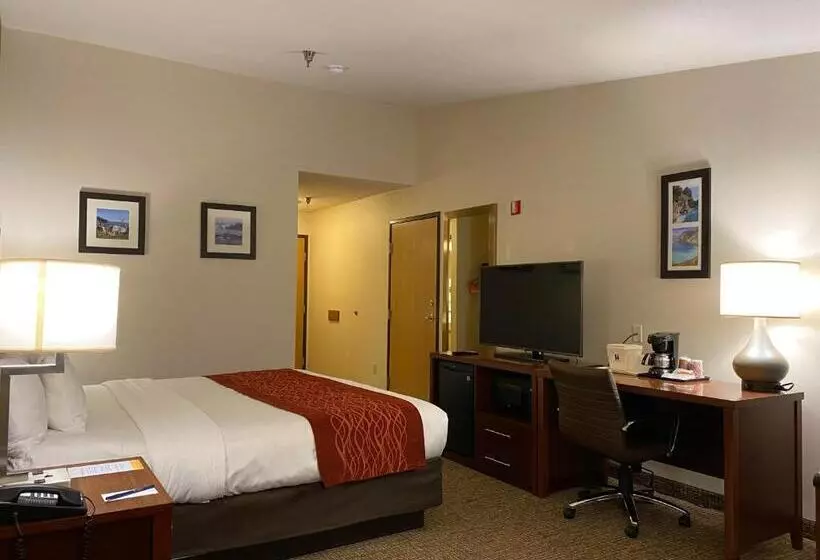 اتاق استاندارد با تخت بزرگ برای معلولان, Comfort Inn Marina On The Monterey Bay