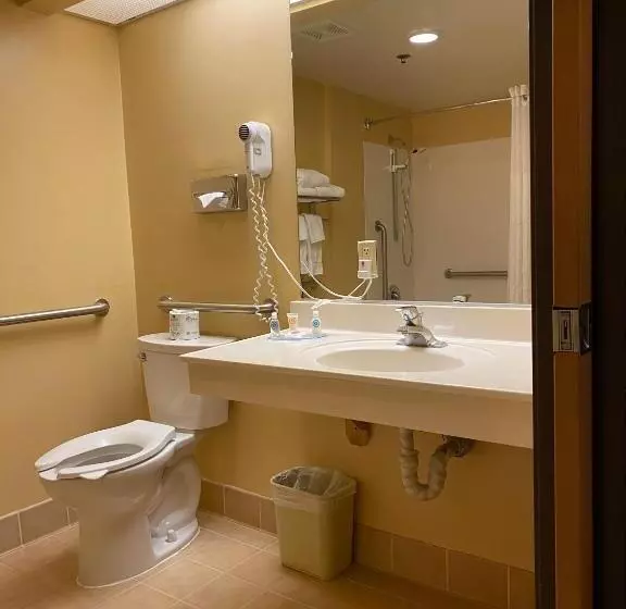 اتاق استاندارد با تخت بزرگ برای معلولان, Comfort Inn Marina On The Monterey Bay