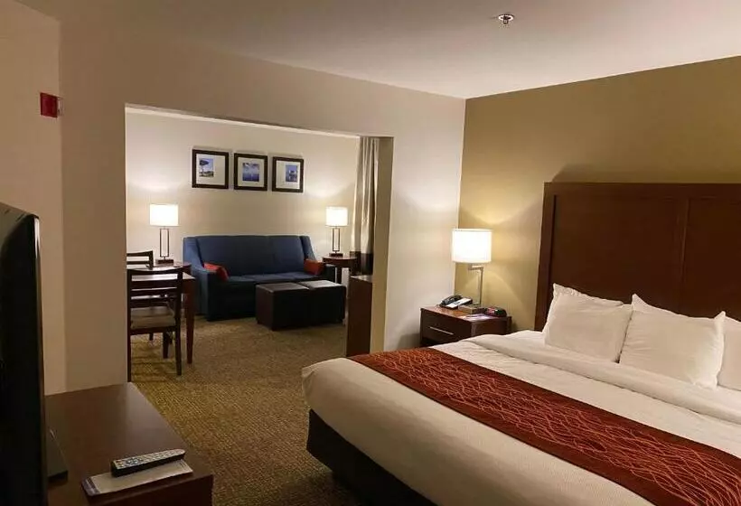 سوئیت با تخت بزرگ, Comfort Inn Marina On The Monterey Bay