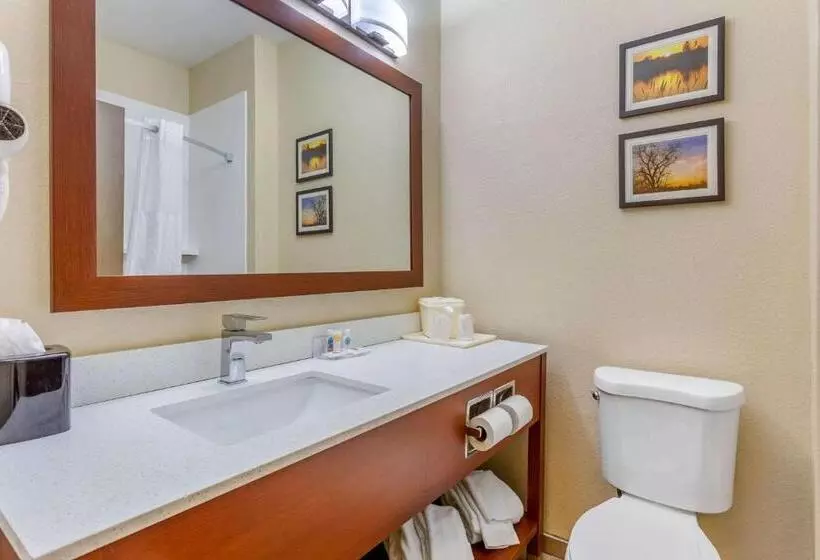 キングサイズベッドのスタンダードルーム, Comfort Inn Rockford Near Casino District