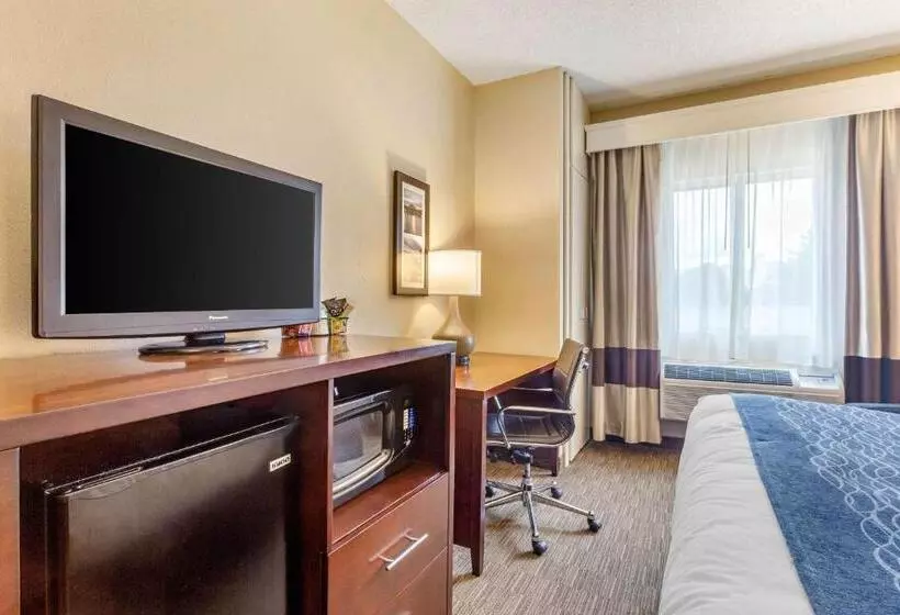 キングサイズベッドのスタンダードルーム, Comfort Inn Rockford Near Casino District